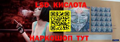 гашик Будённовск