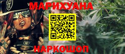 гашик Будённовск
