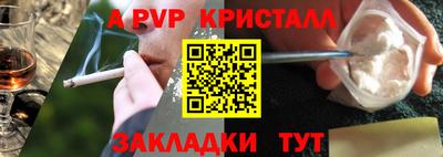 гашик Будённовск