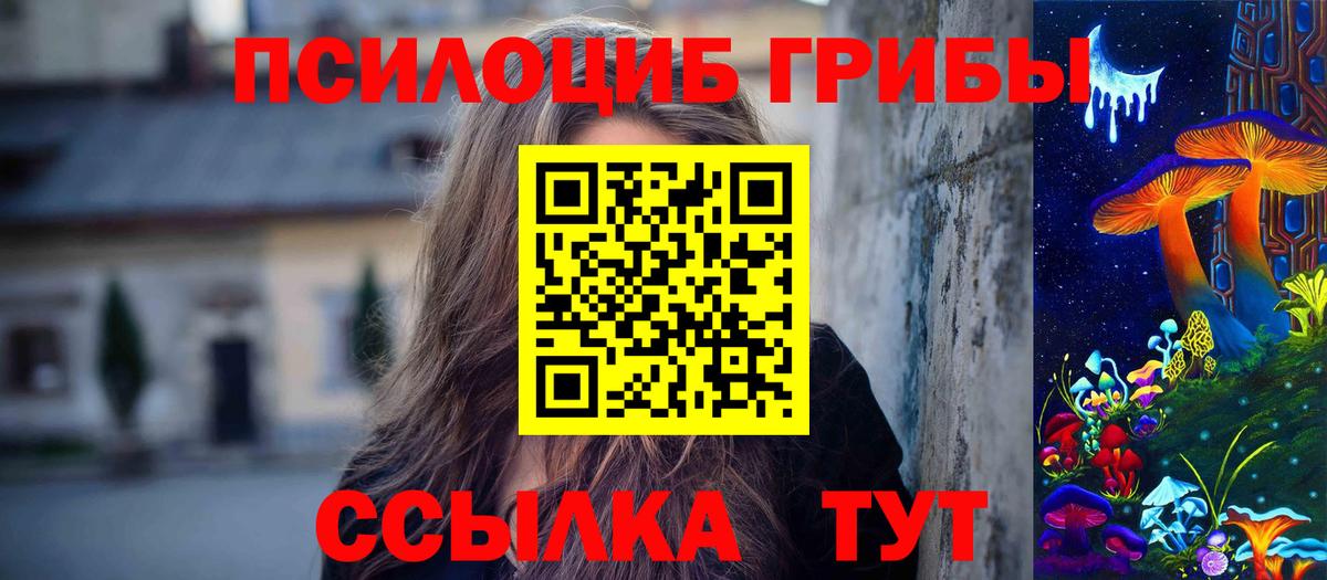 купить наркоту  Вход с VPN  Сегежа  Псилоцибиновые грибы Cubensis 