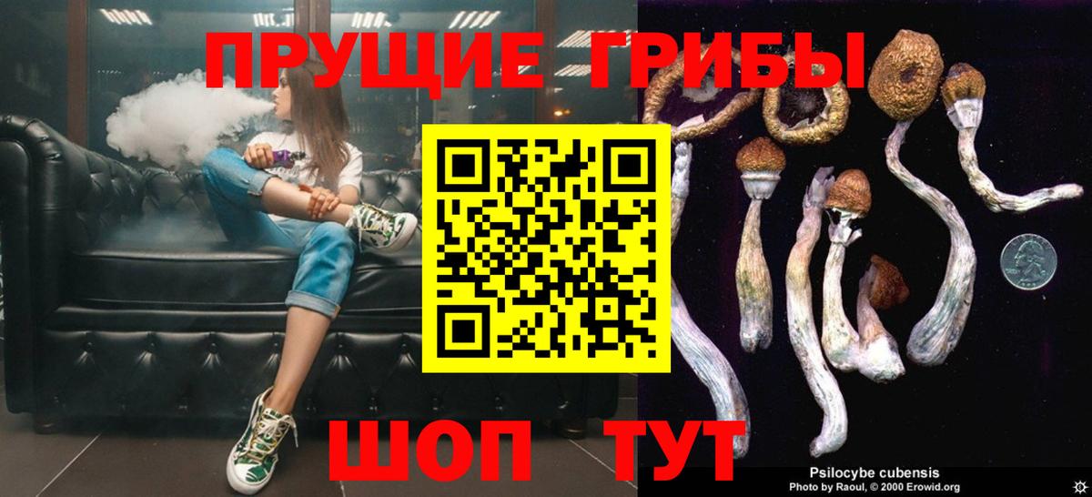 Псилоцибиновые грибы ЛСД Сегежа